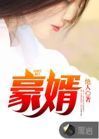 《超级女婿》小说封面