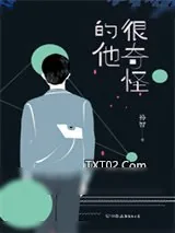 《很奇怪的他》小说封面