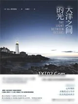 《大洋之间的光》小说封面