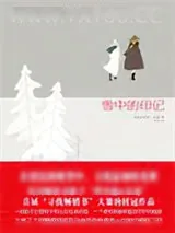 《雪中的印记》小说封面
