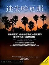 《迷失哈瓦那》小说封面