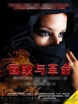 《面纱与革命》小说封面