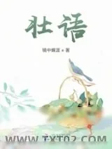 《壮语》小说封面