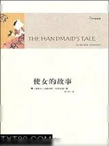 《使女》小说封面