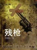 《残枪》小说封面