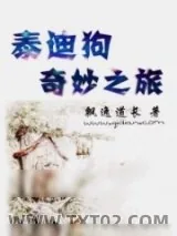 《泰迪狗奇妙之旅》小说封面