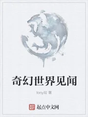 《奇幻世界见闻》小说封面