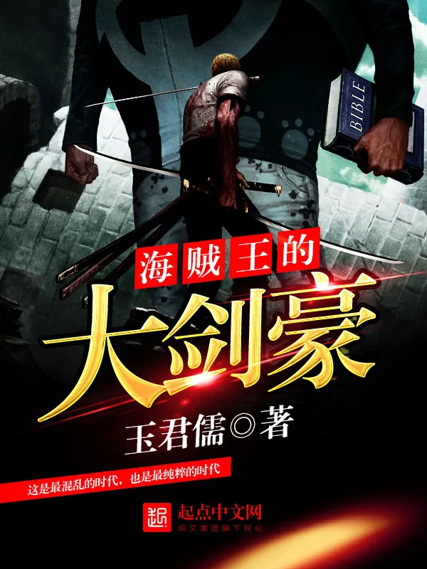 《海贼王的大剑豪》小说封面