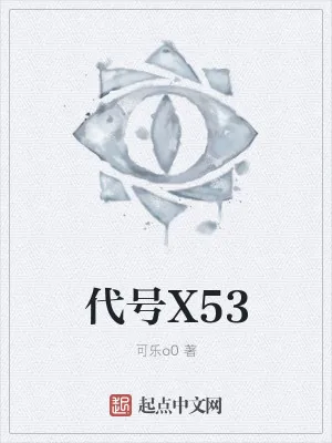 《代号X53》小说封面