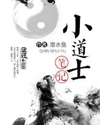 《小道士笔记》小说封面