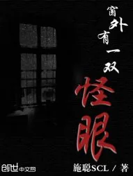 《窗外有一双怪眼》小说封面