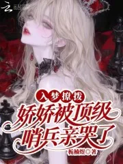 《入梦撩拨:娇娇被顶级哨兵亲哭了》小说封面