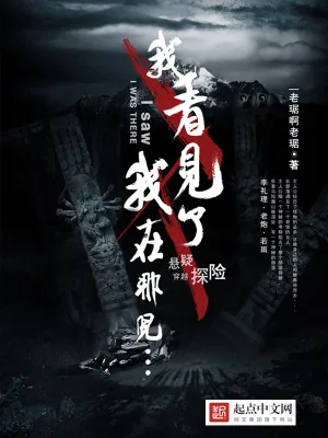 《我看见了我在那儿》小说封面