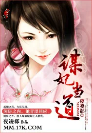《谋妃当道》小说封面