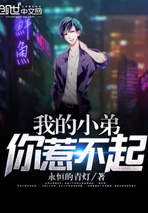 《我的小弟你惹不起》小说封面