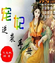 《宠妃逆袭手册》小说封面