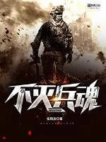 《不灭兵魂》小说封面