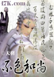 《不色和尚》小说封面