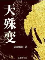 《天殊变》小说封面