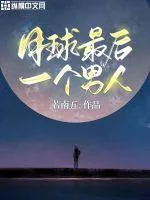 《月球最后一个男人》小说封面