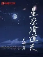 《星空清道夫》小说封面