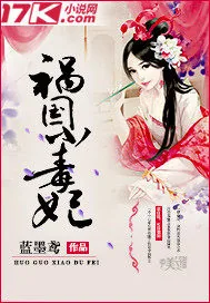 《祸国小毒妃》小说封面