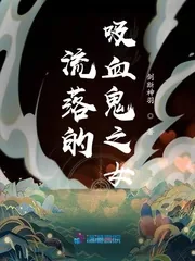 《流落的吸血鬼之女》小说封面