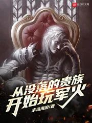 《从没落的贵族开始玩军火》小说封面