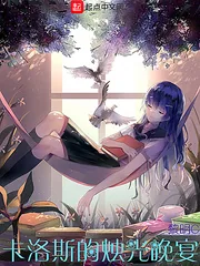 《卡洛斯的烛光晚宴》小说封面