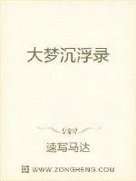 《大梦沉浮录》小说封面
