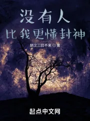 《没有人比我更懂封神》小说封面