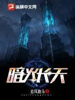 《暗火长天》小说封面