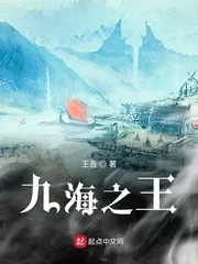 《九海之王》小说封面