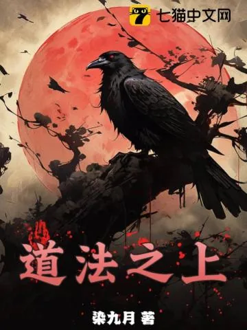 《道法之上》小说封面