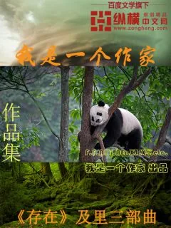 《我是一个作家》小说封面