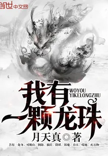 《我有一颗龙珠》小说封面