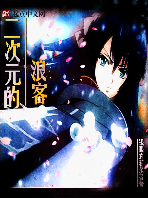 《二次元的浪客》小说封面