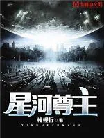 《星河尊主》小说封面