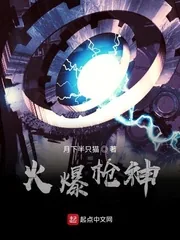 《火爆枪神》小说封面
