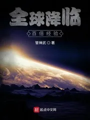 《全球降临：百倍经验》小说封面
