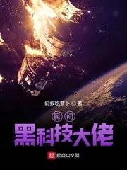 《民间黑科技大佬》小说封面
