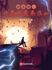 《四合院:开局炮轰秦淮如》小说封面