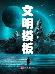 《文明模板》小说封面