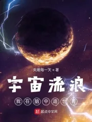 《宇宙流浪：我在脑中造世界》小说封面