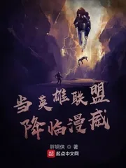 《当英雄联盟降临美漫》小说封面