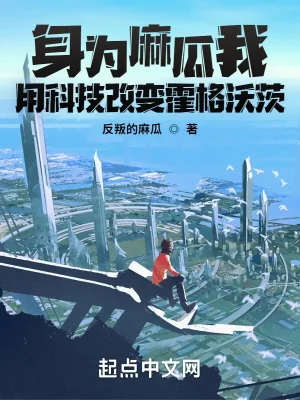 《身为麻瓜我用科技改变霍格沃茨》小说封面