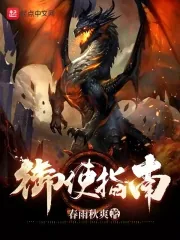 《御使指南》小说封面
