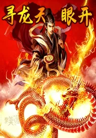 《寻龙天眼开》小说封面
