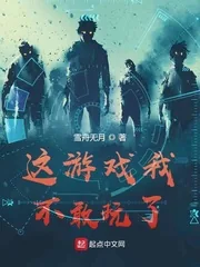 《这游戏我不敢玩了》小说封面