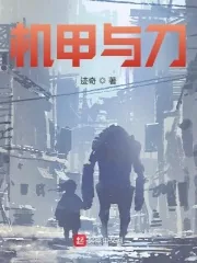 《机甲与刀》小说封面